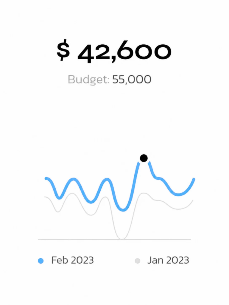 Best Digital marketing agency in pakistan analytics showing $42,600 budget and performance graph